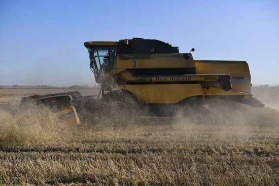Russia Agriculture Harvesting