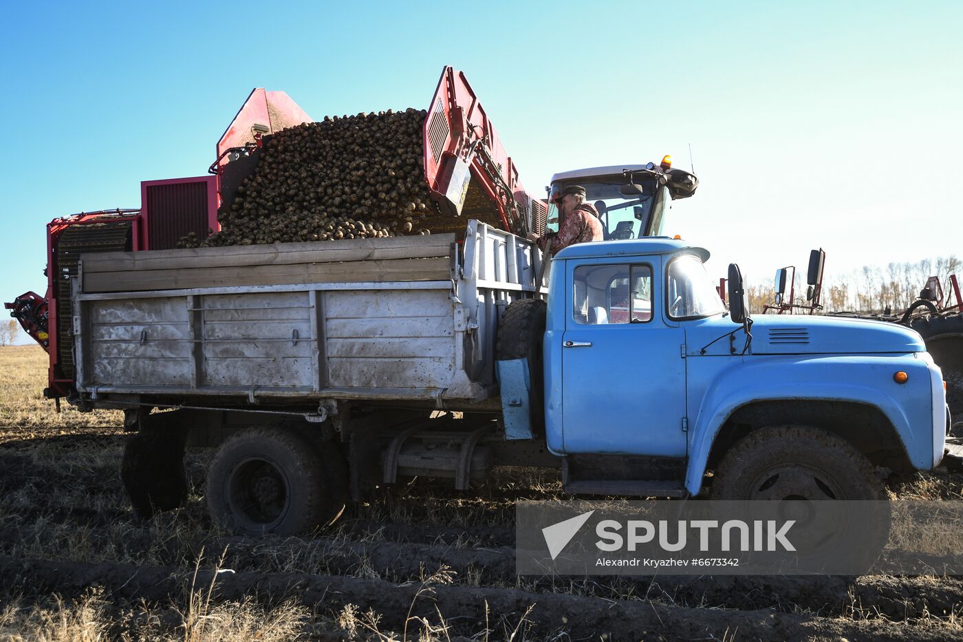 Russia Agriculture Harvesting