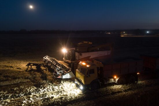 Russia Agriculture Harvesting