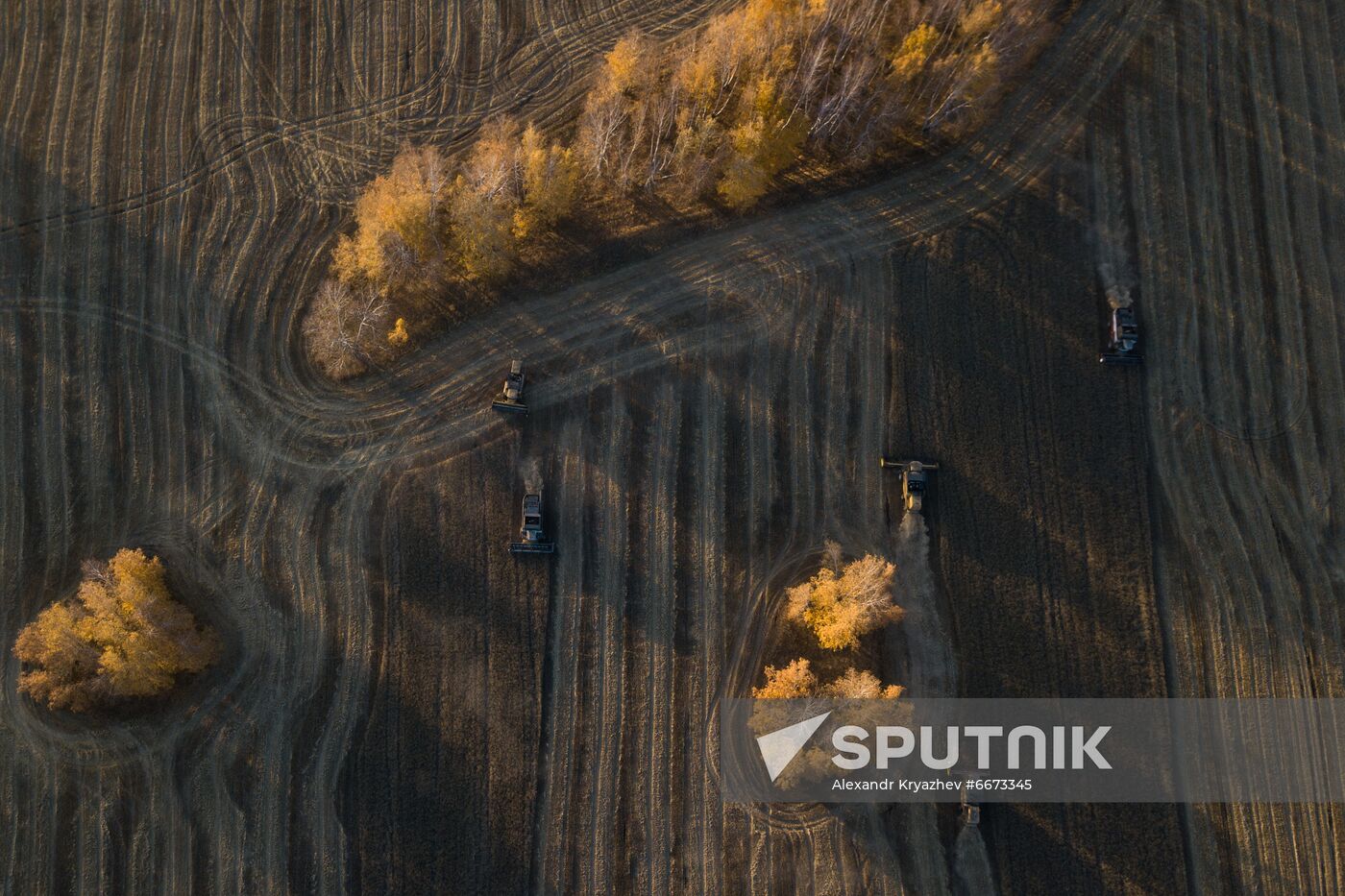 Russia Agriculture Harvesting