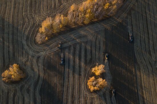 Russia Agriculture Harvesting
