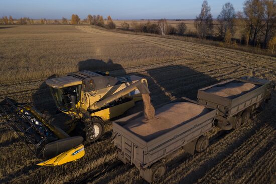 Russia Agriculture Harvesting