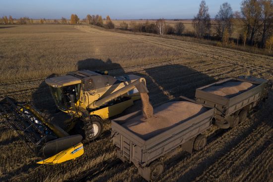Russia Agriculture Harvesting