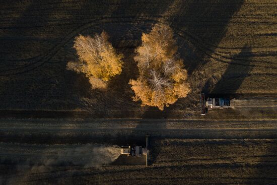 Russia Agriculture Harvesting