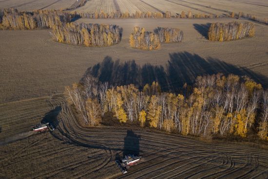 Russia Agriculture Harvesting