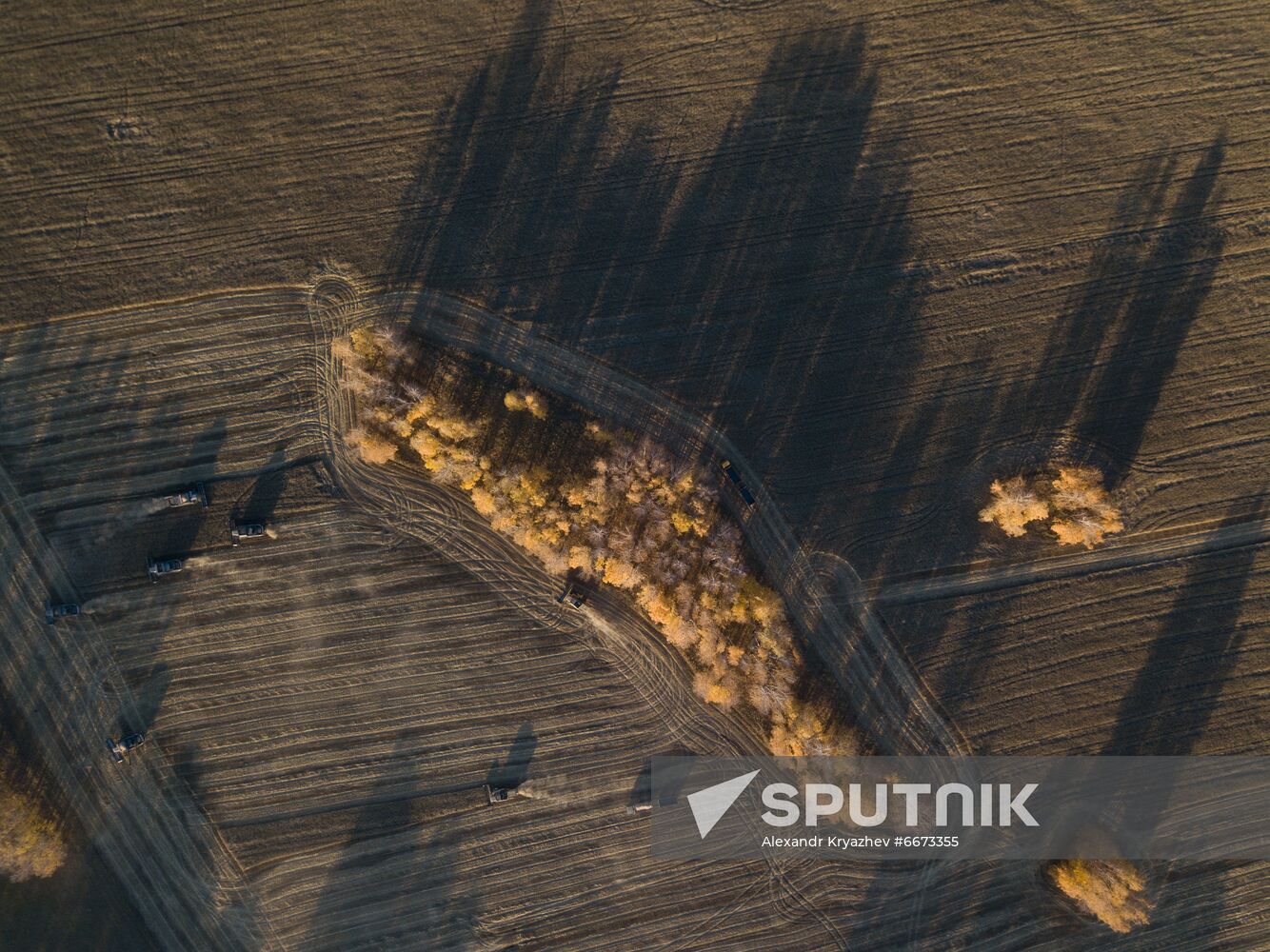 Russia Agriculture Harvesting