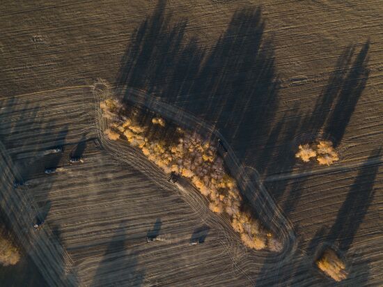 Russia Agriculture Harvesting