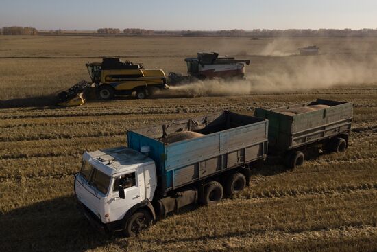 Russia Agriculture Harvesting