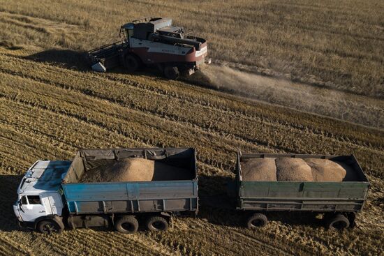 Russia Agriculture Harvesting