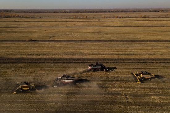 Russia Agriculture Harvesting