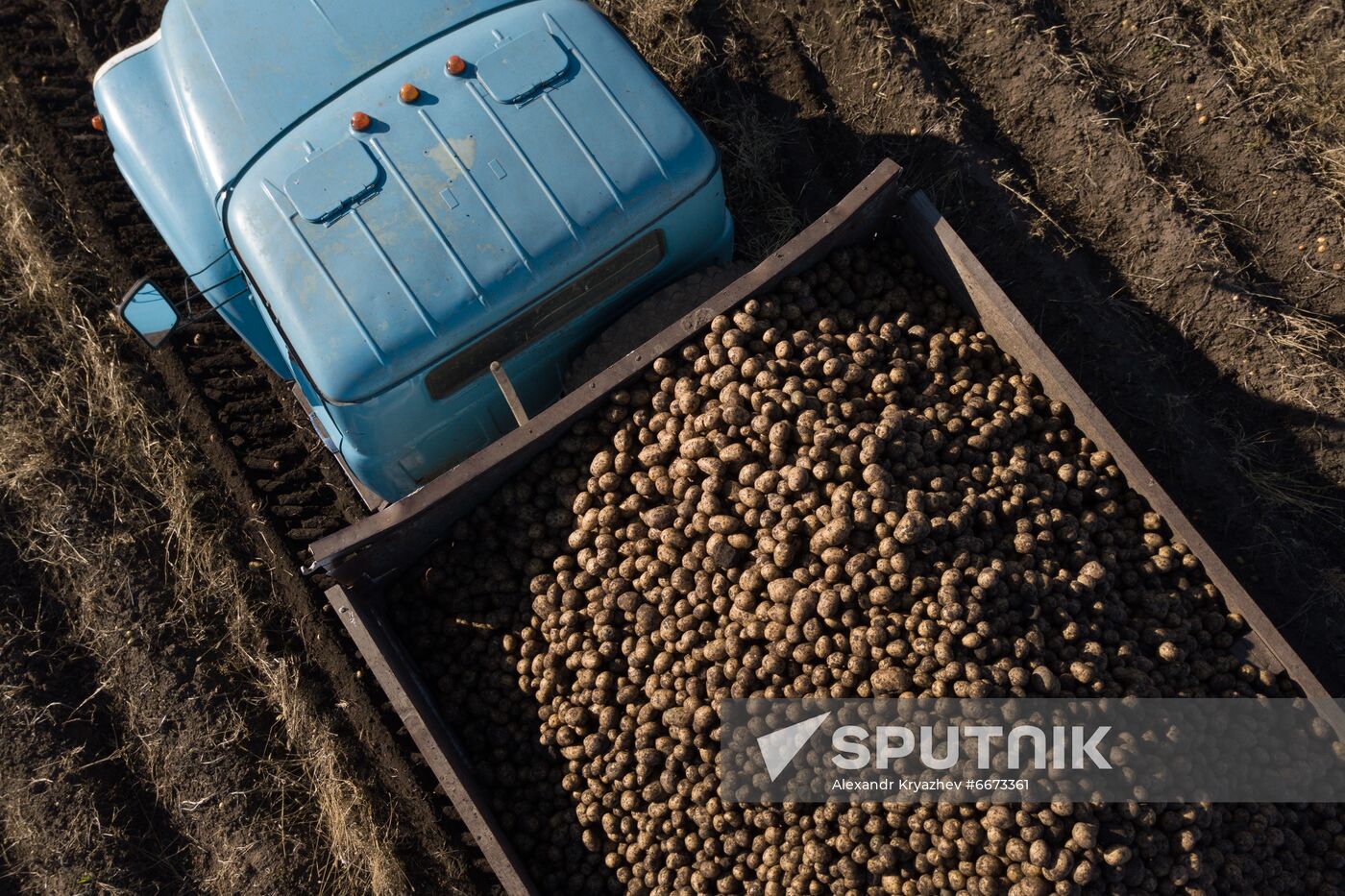 Russia Agriculture Harvesting