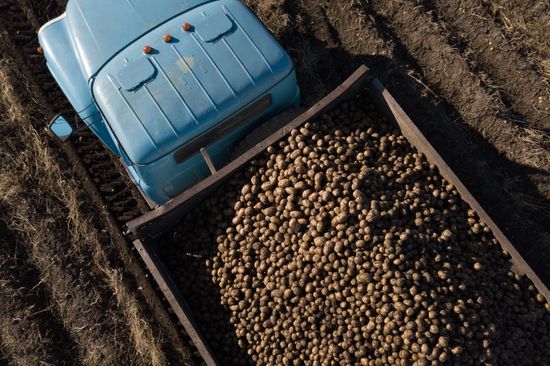 Russia Agriculture Harvesting