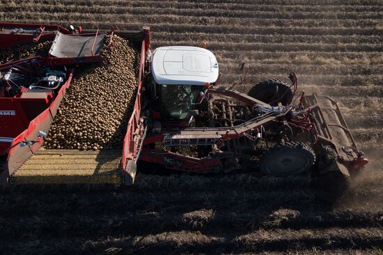 Russia Agriculture Harvesting