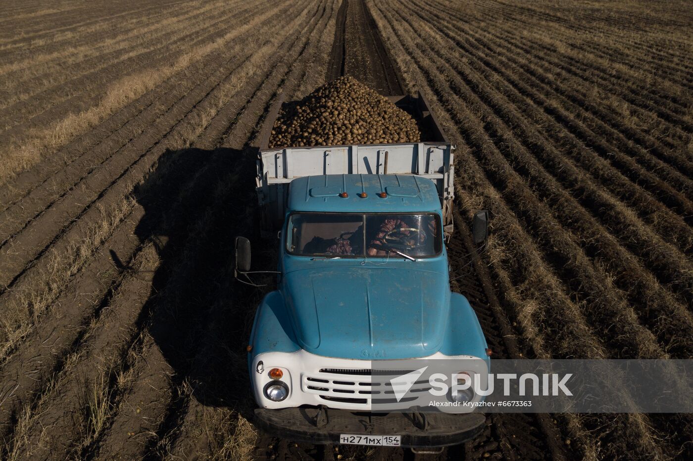 Russia Agriculture Harvesting