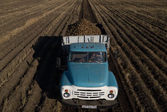 Russia Agriculture Harvesting