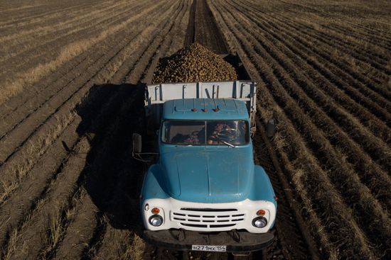 Russia Agriculture Harvesting