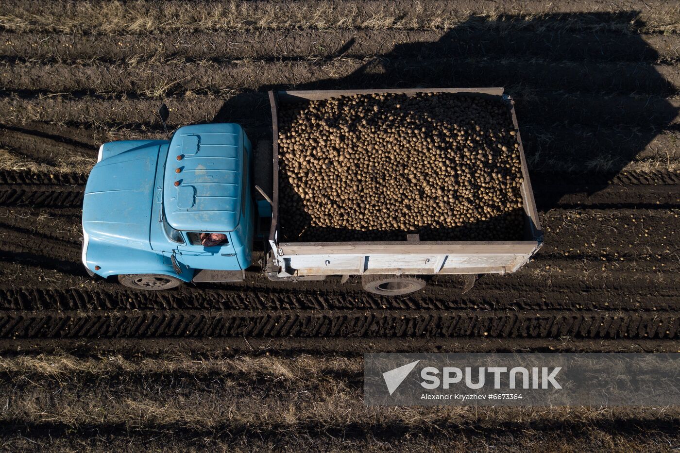 Russia Agriculture Harvesting