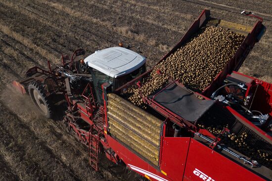 Russia Agriculture Harvesting