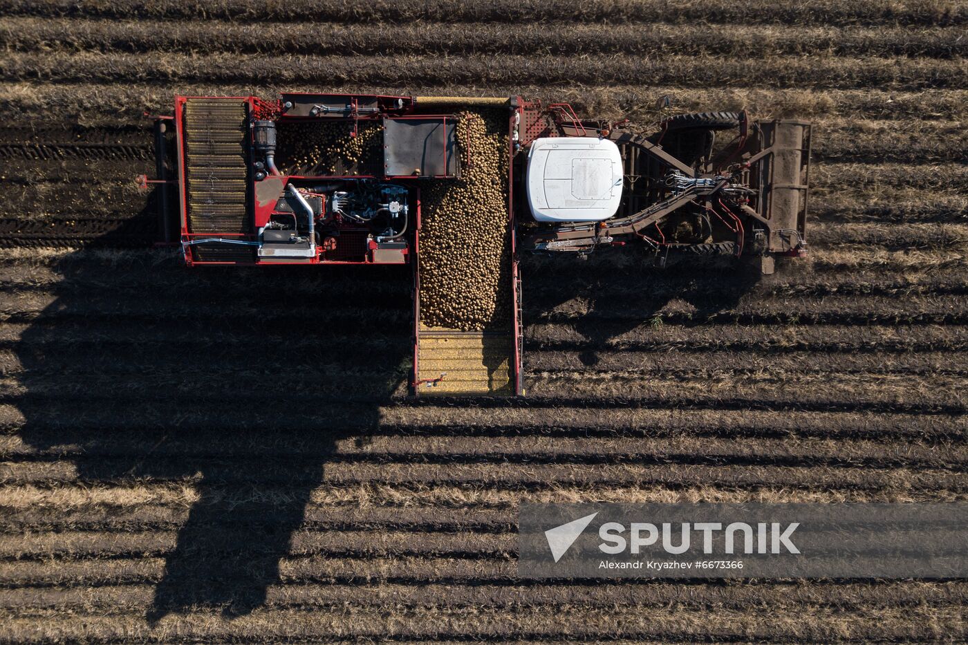 Russia Agriculture Harvesting