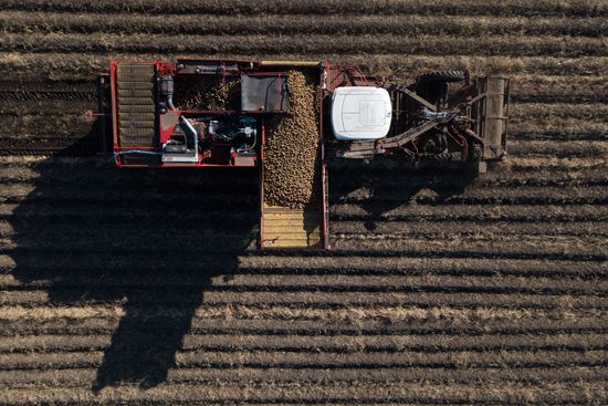 Russia Agriculture Harvesting