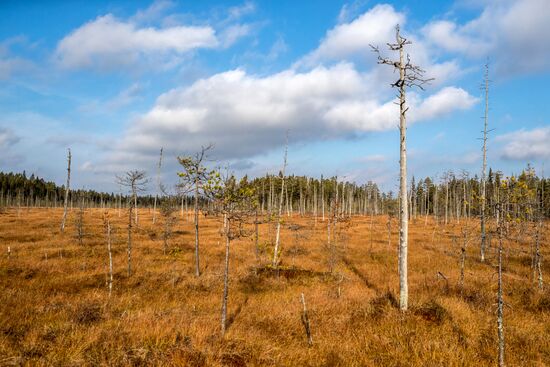Russia Autumn