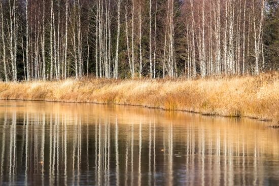 Russia Autumn