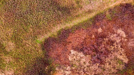 Russia Autumn