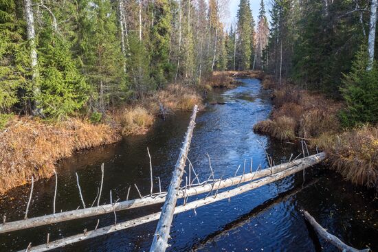 Russia Autumn