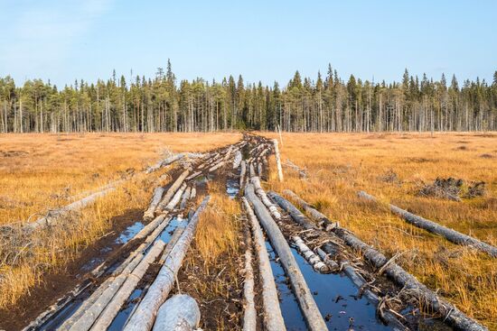 Russia Autumn