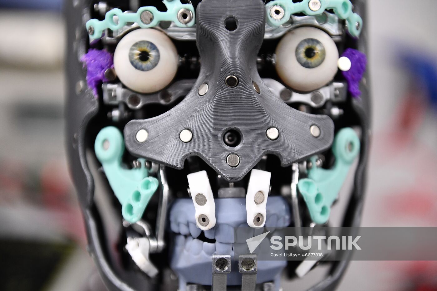 Russia Humanoid Robots