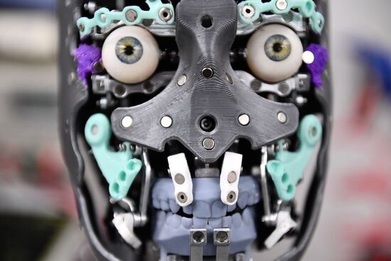 Russia Humanoid Robots