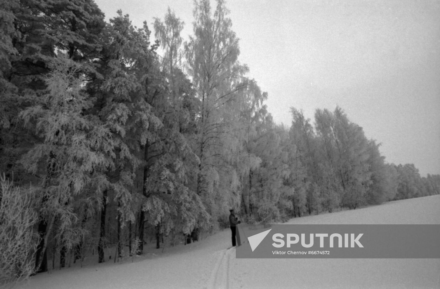 Winter in Moscow Region