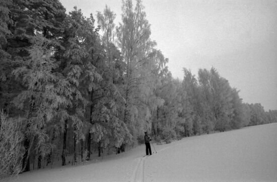 Winter in Moscow Region