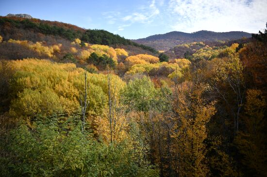 Russia Autumn