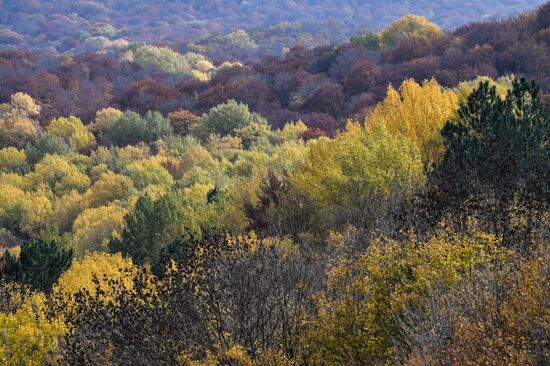 Russia Autumn