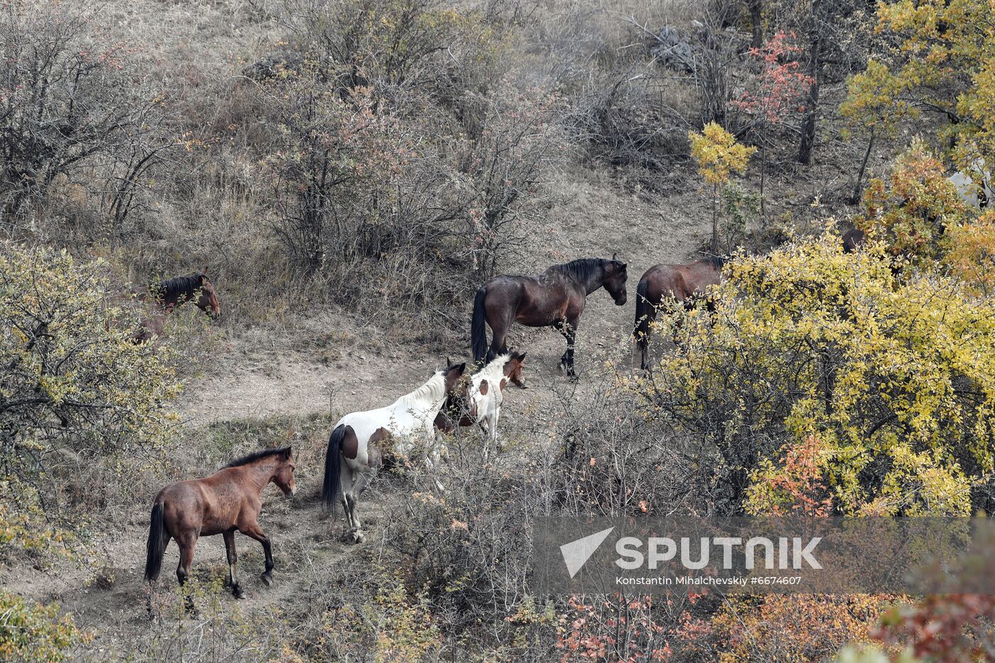 Russia Autumn