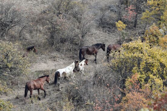 Russia Autumn