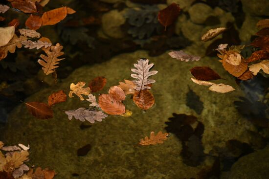 Russia Autumn