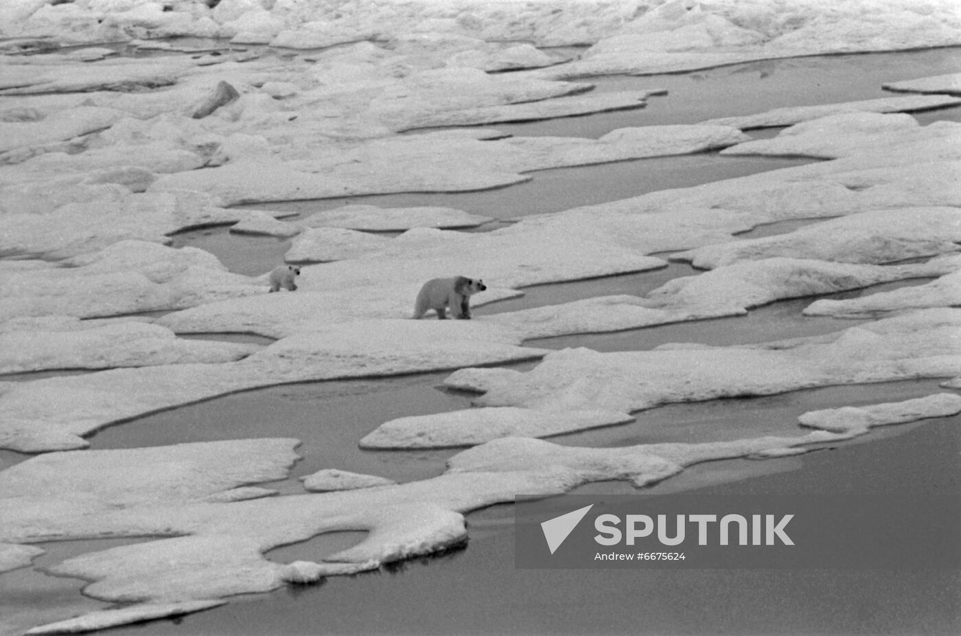 Northern Sea Route