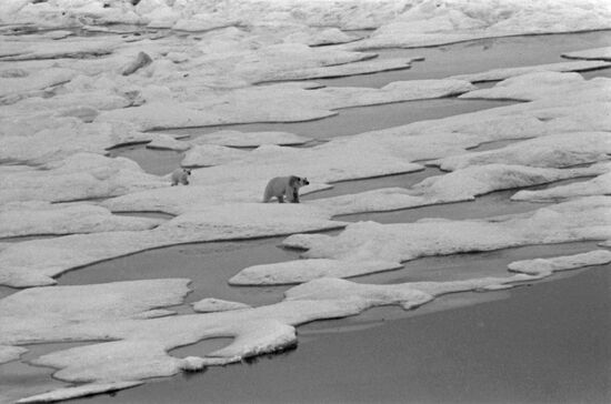 Northern Sea Route