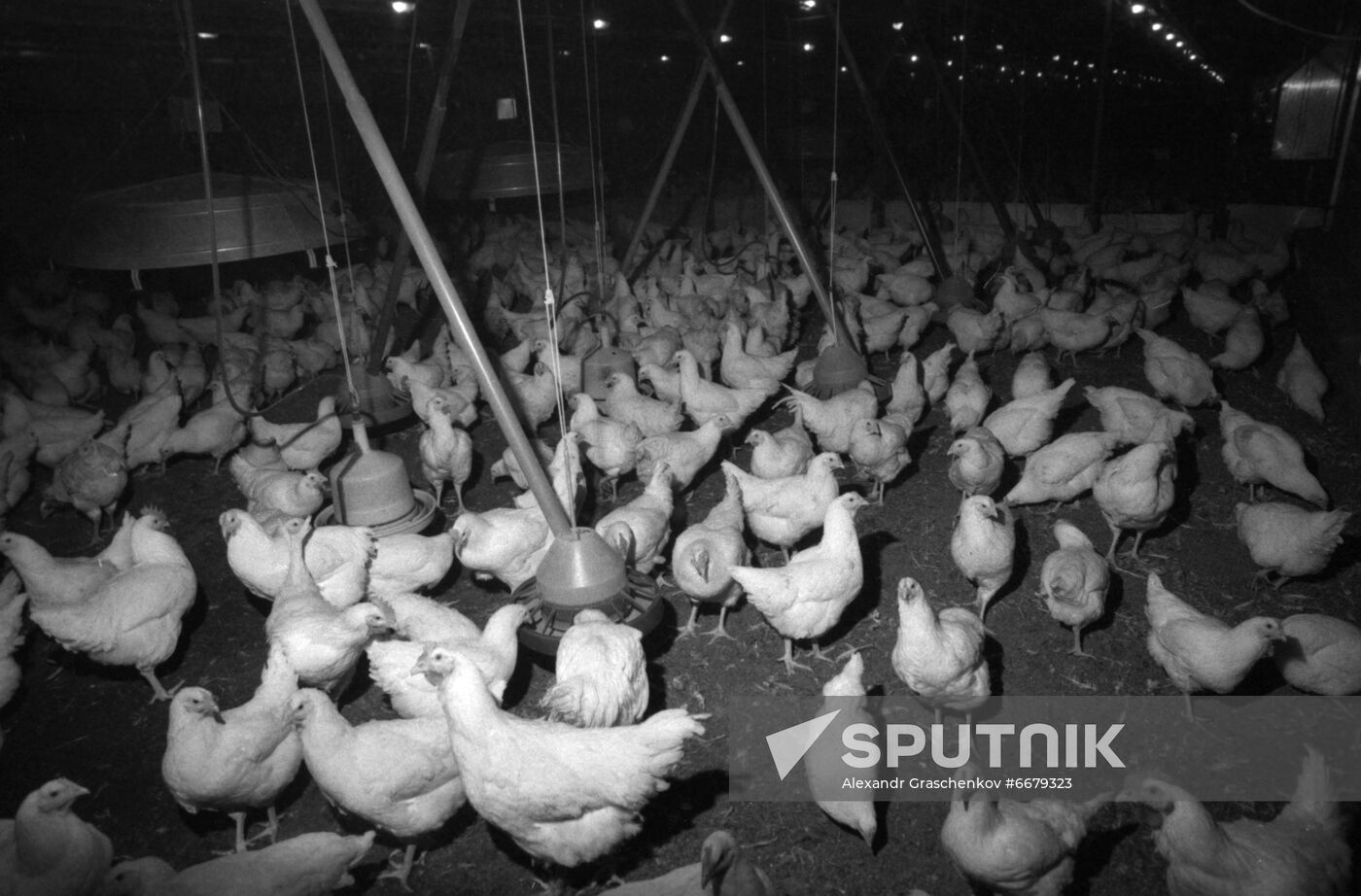 All-Union Scientific Research and Technological Institute of Poultry Farming