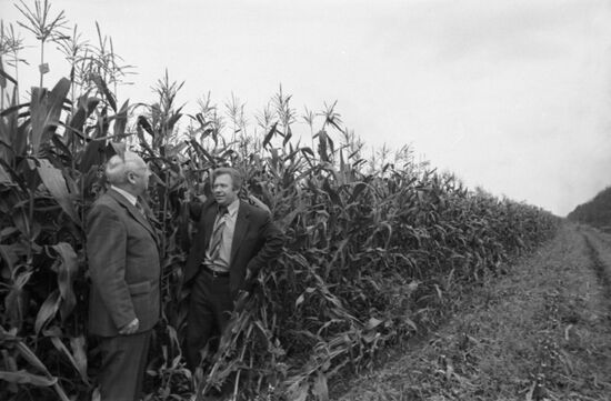Plemzavod: Lenin collective farm in Tula Region