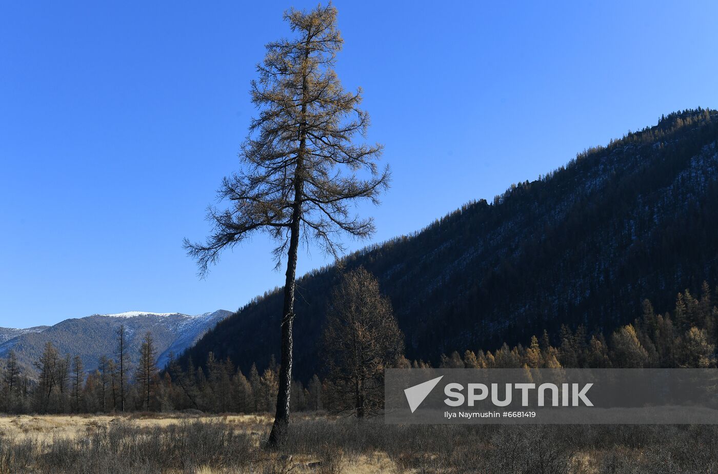 Russia Tourism