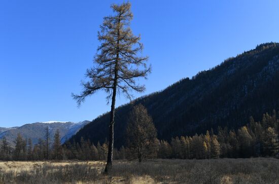 Russia Tourism