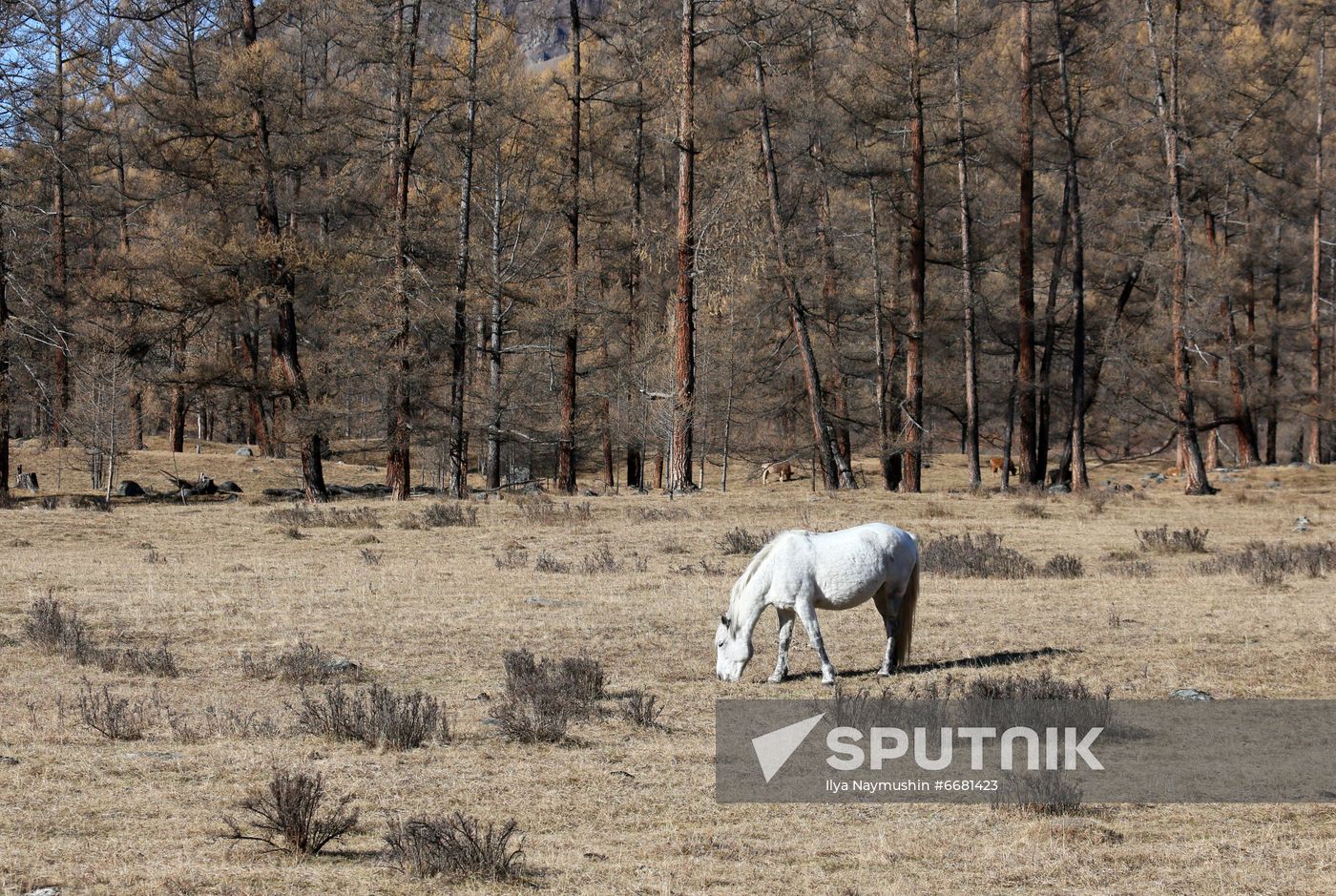 Russia Tourism