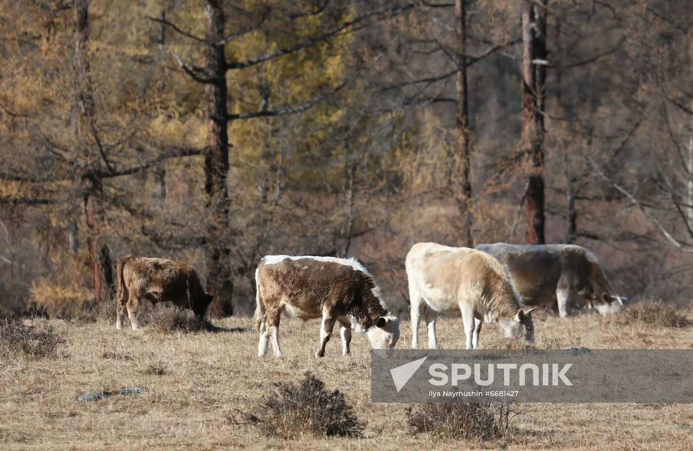 Russia Tourism