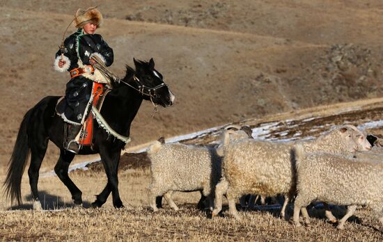 Russia Agriculture Breeding