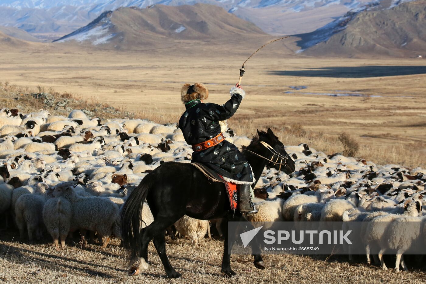 Russia Agriculture Breeding