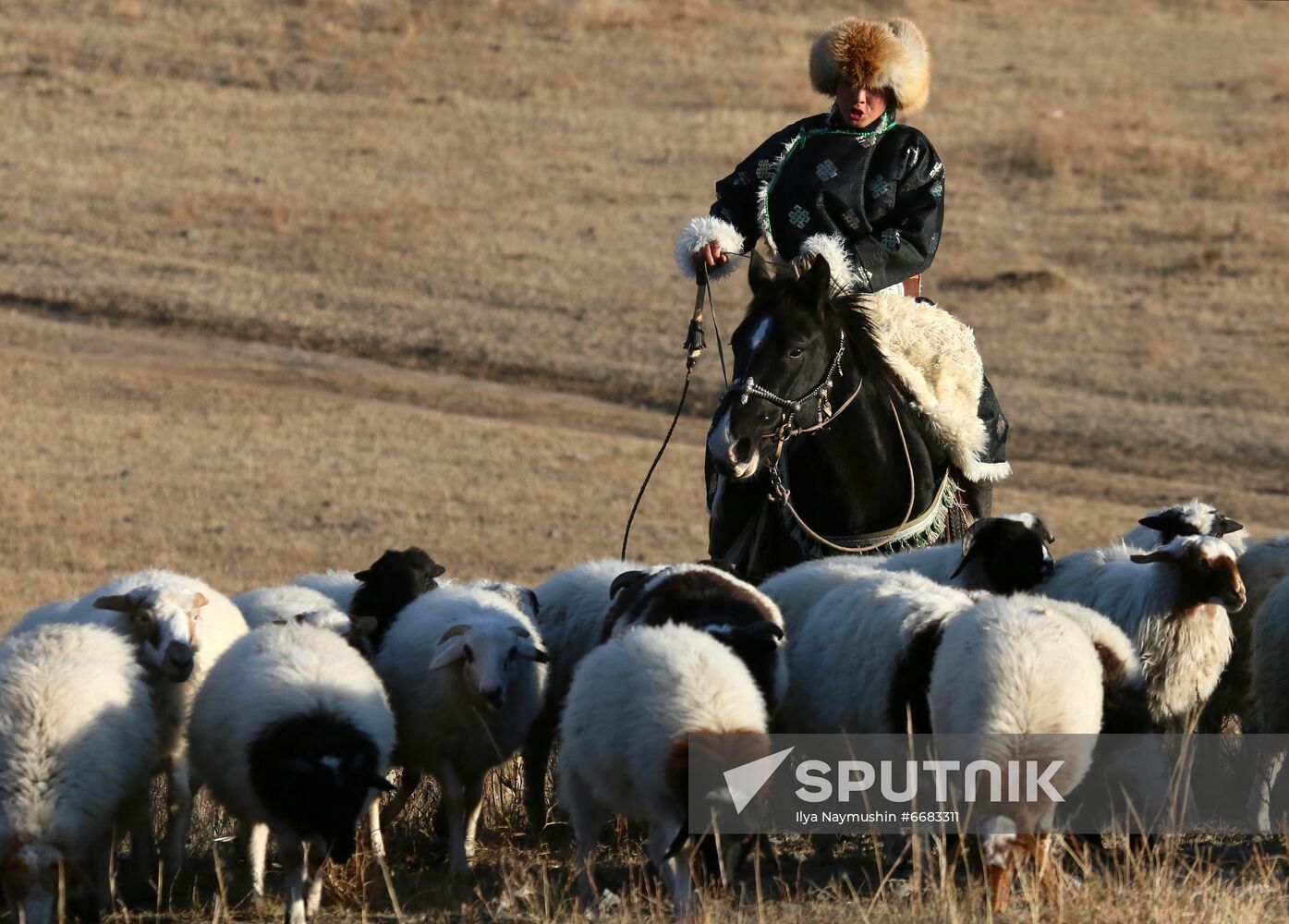 Russia Agriculture Breeding