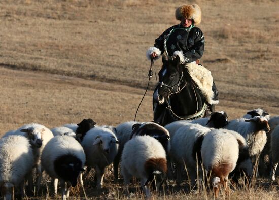 Russia Agriculture Breeding